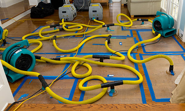 Professional Water Damage Repair technician working in Springville, VA