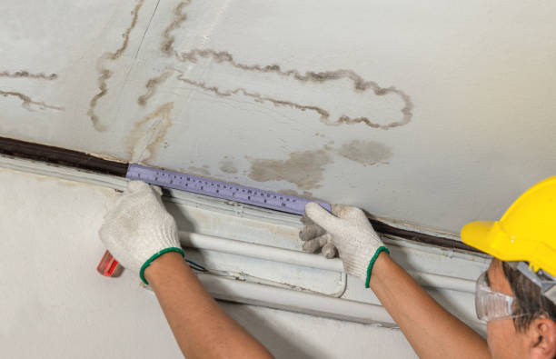 Affordable Water Damage Repair solutions in Springville, VA